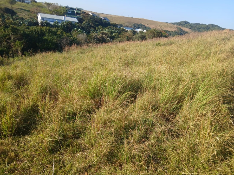 0 Bedroom Property for Sale in Morgans Bay Eastern Cape